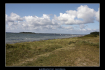 IMG 6587