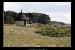 IMG 6588