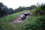 IMG 7221 1