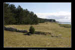 IMG 6585