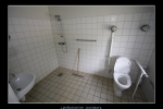 IMG 6789