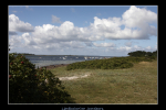 IMG 6597